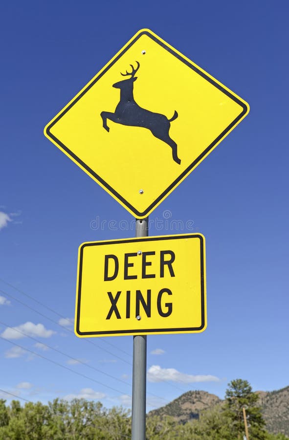 Deer crossing warning sign on empty road