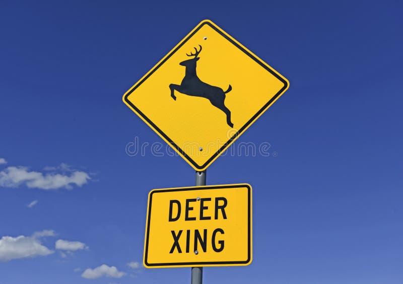 Deer crossing warning sign on empty road