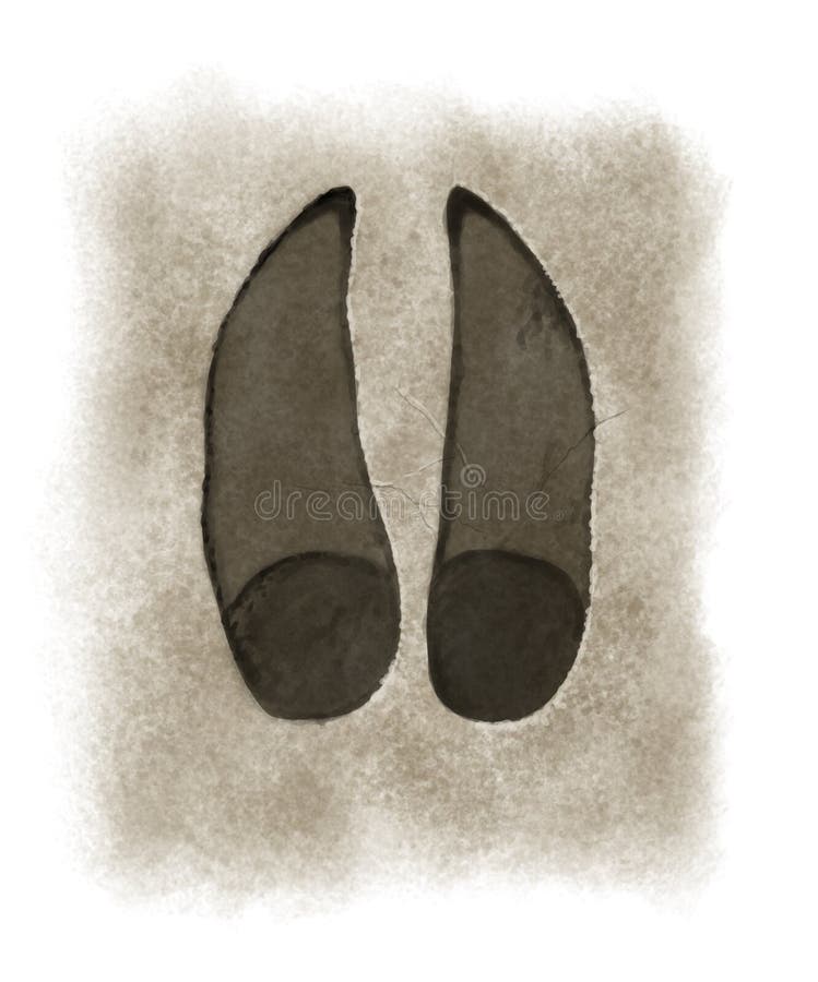 Deer footprint stock illustration. Illustration of tracks 54200679