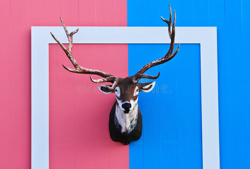 Deer head stock photo. Image of animal, nature, wallmount 29554140