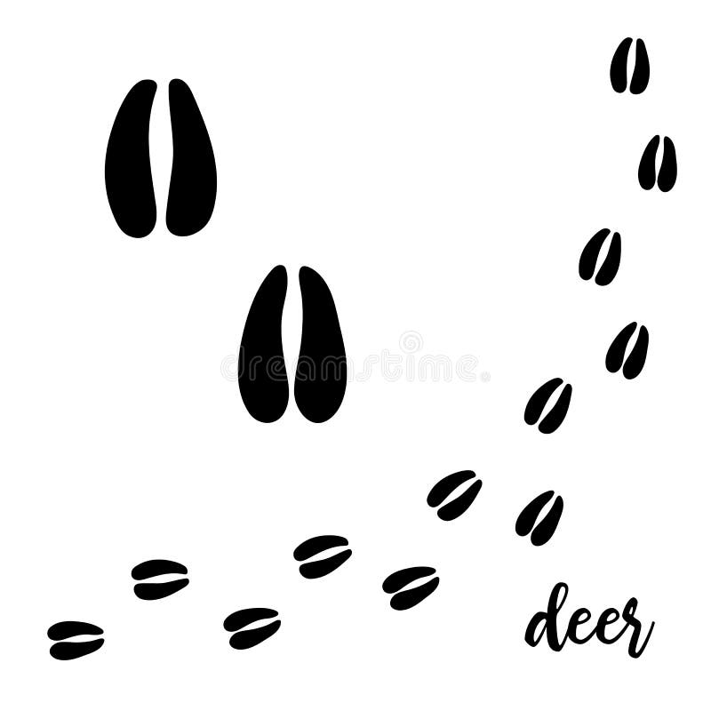 Deer Tracks Stock Illustrations – 244 Deer Tracks Stock Illustrations,  Vectors & Clipart - Dreamstime