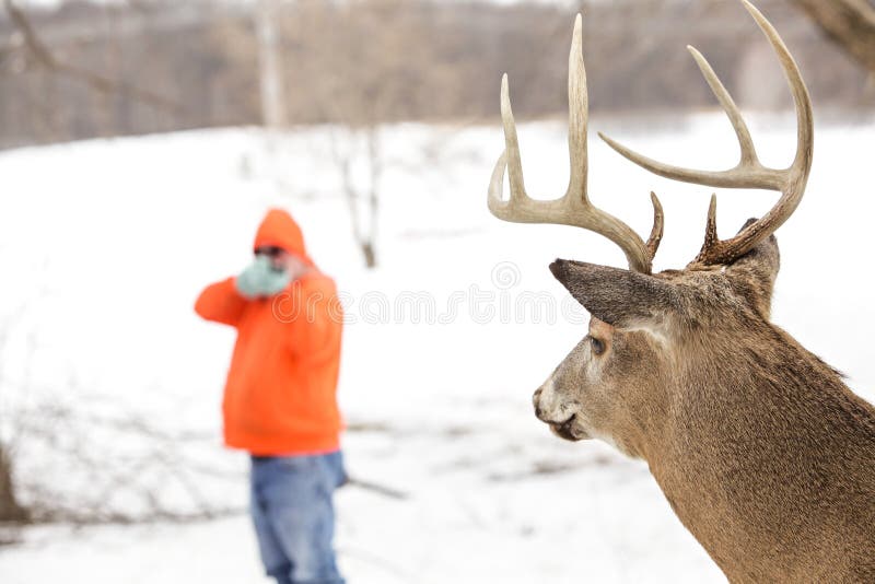 Deer hunter taking aim at a whitetail deer