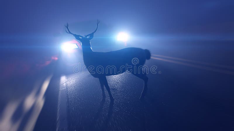 a deer infront of a car