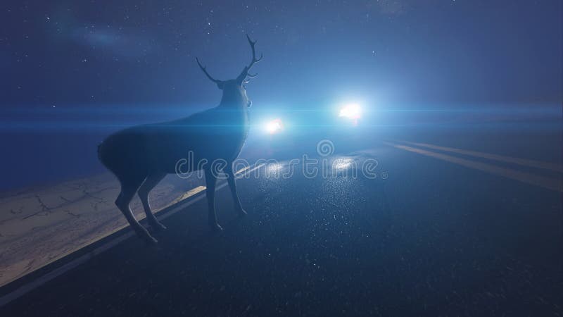 a deer infront of a car