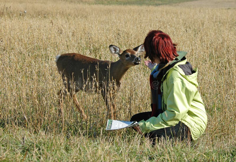 Deer petting