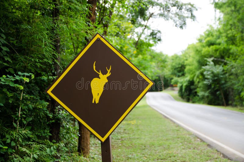Deer sign royalty free stock photo Deer sign royalty free stock photo