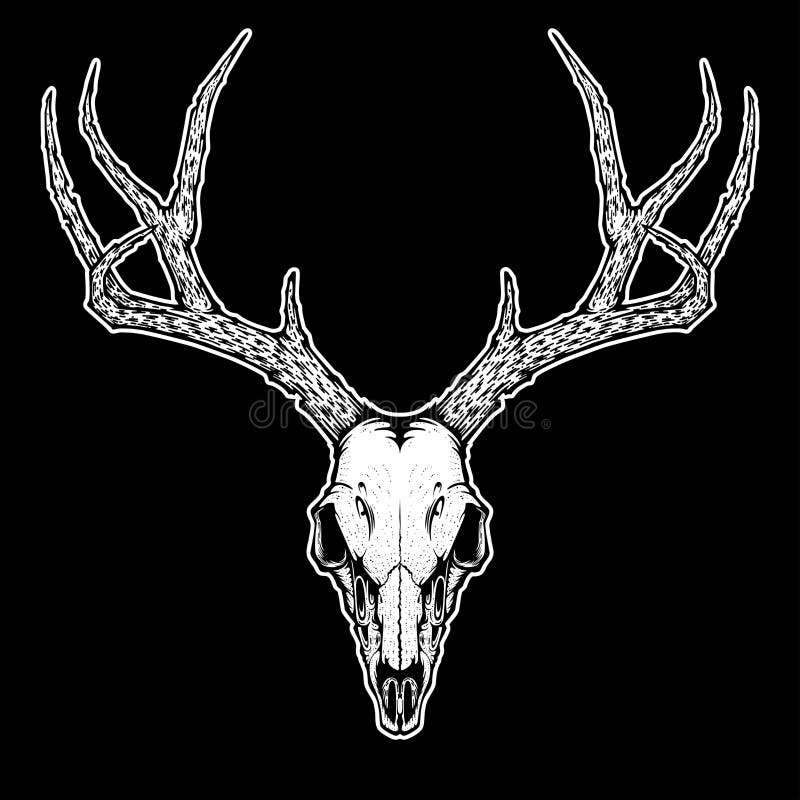 Deer Skull with Isolated Background. Vector Illustration for Tattoo,  Printing on T-shirts, Posters and Other Items Stock Vector - Illustration  of animal, dead: 181472862