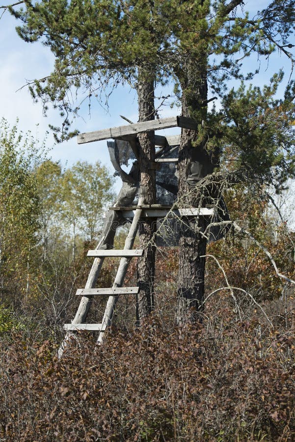 A Deer Stand in a Minnesota Forest Stock Image Image of hide, hunting 64684523