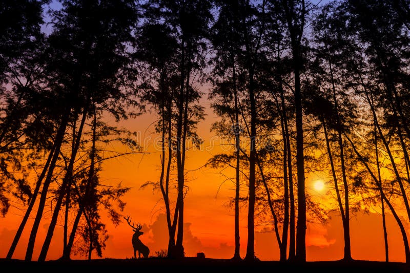 Deer via silhouette