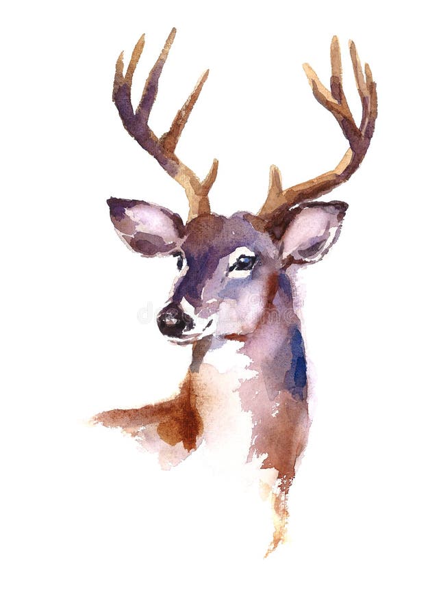 Deer Watercolor Animal Illustration Hand Painted Stock Illustration - Illustration of painting, summer: 84748876 Deer Watercolor Animal Illustration Hand Painted Stock Illustration - Illustration of painting, summer: 84748876