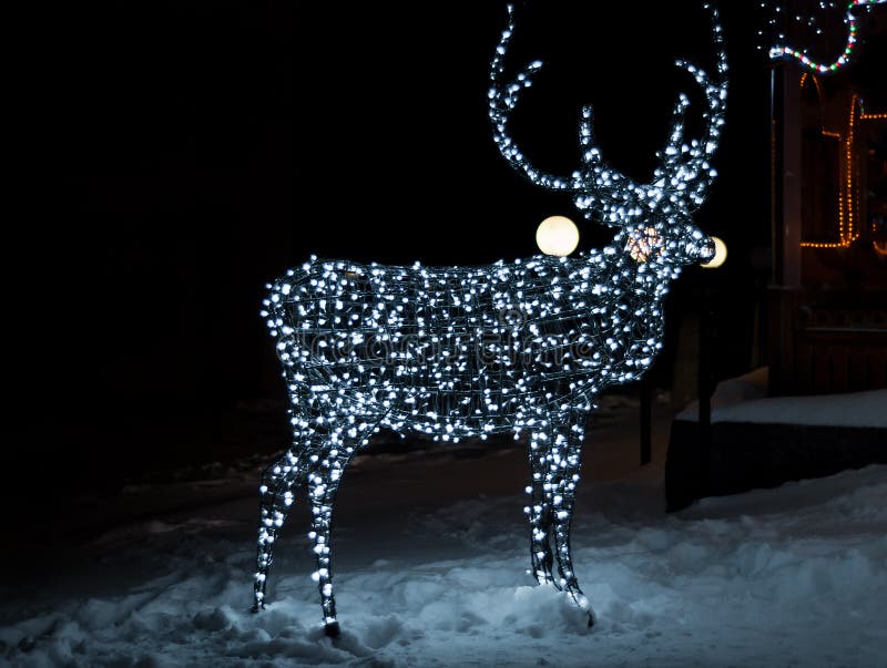 Deer from the wires stock image. Image of light, town 17201261