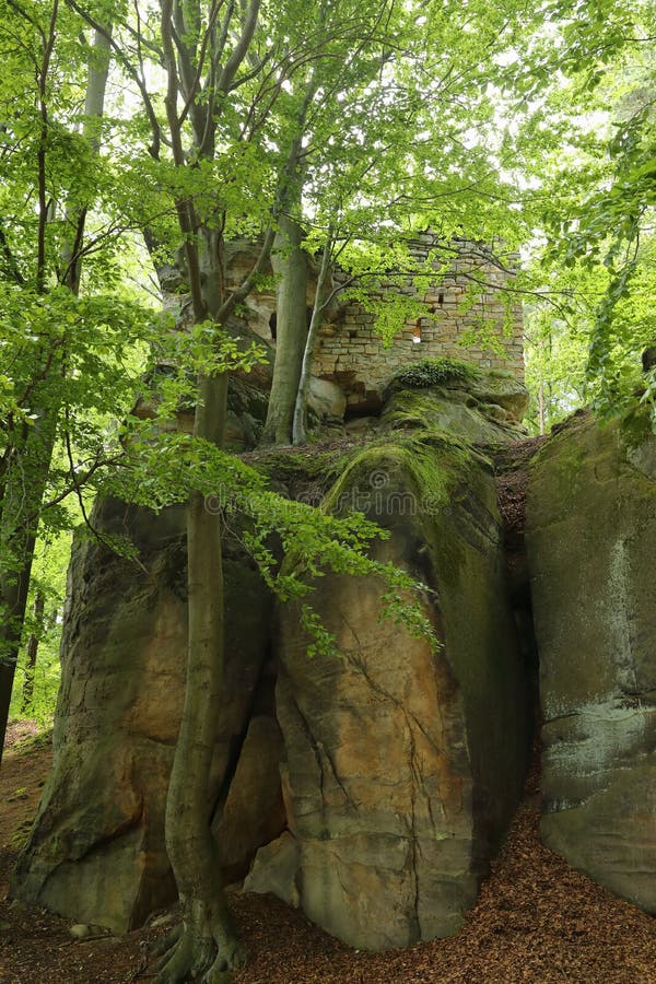 Defense walls of ruins of castle Zbiroh