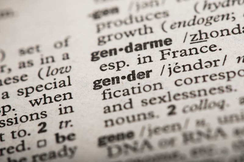 Gender In Dictionary Stock Image Image Of Word English 147320115 