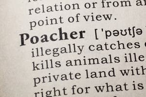 Definition Of Poacher Stock Photo Image Of Definition 95732802 Definition Of Poacher Stock Photo Image Of Definition 95732802