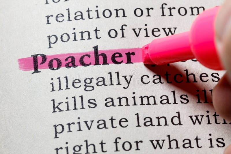 Definition Of Poacher Stock Photo Image Of Word Definition 95732792 definition-of-poacher-stock-photo-image-of-word-definition-95732792