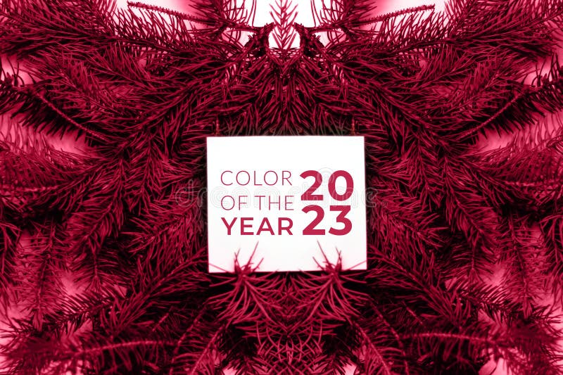 Defocus blank white card on natural christmas background. Creative layout made of Christmas tree branches with empty paper card note. Color of the year 2023. Viva magenta. Out of focus.