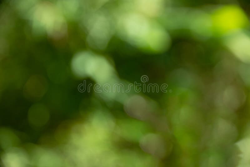 Defocused абстрактная зеленая предпосылка bokeh, мягкая предпосылка стоковые изображения rf Defocused абстрактная зеленая предпосылка bokeh, мягкая предпосылка стоковые изображения rf