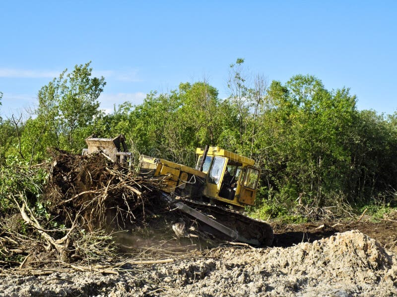 Deforestation stock image. Image of deforestation, desert - 13801429