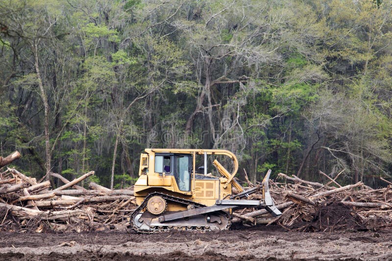 Deforestation stock image. Image of forest, symbolic - 52380505