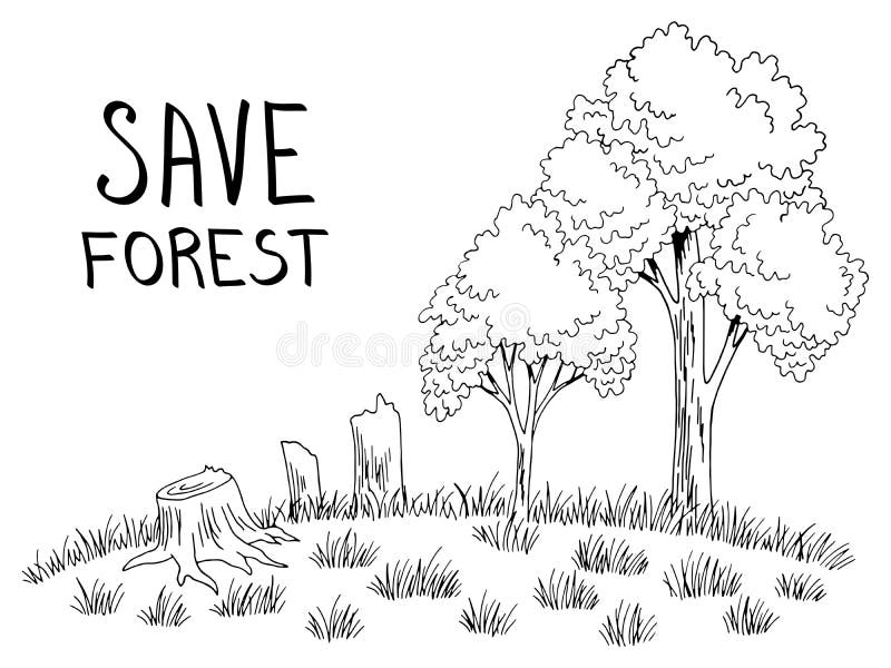 Deforestation Drawing For Kids