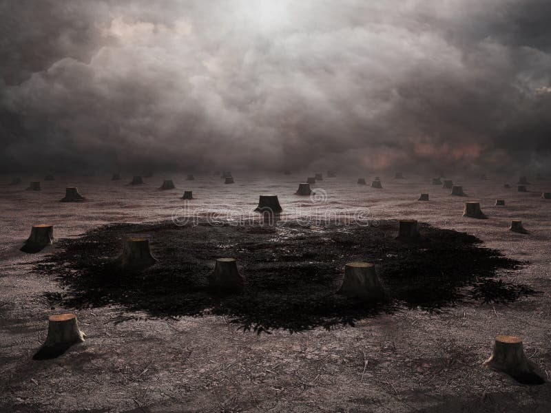 Deforested landscape stock photo