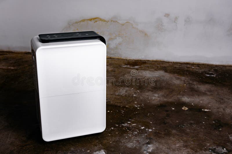 The Dehumidifier Works in an Empty Room with a Mold and Water on the ...