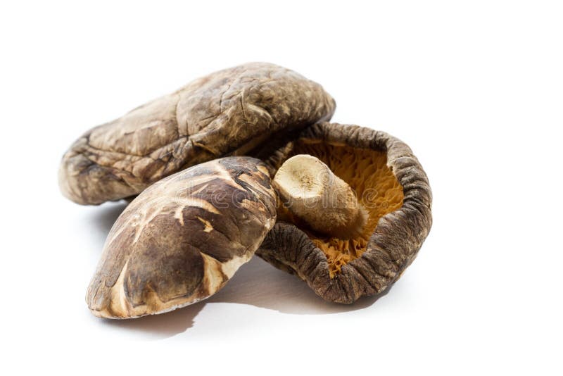 Dehydrated Shiitake Mushrooms Stock Photo Image of natural, japanese