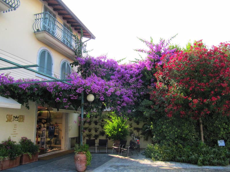 Dei Marmi Forte Ιταλία στοκ εικόνες με δικαίωμα ελεύθερης χρήσης Dei Marmi Forte Ιταλία στοκ εικόνες με δικαίωμα ελεύθερης χρήσης