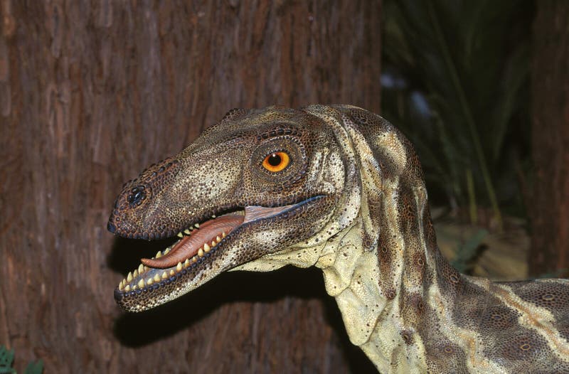 Deinonychus Royalty-Free Images, Stock Photos & Pictures