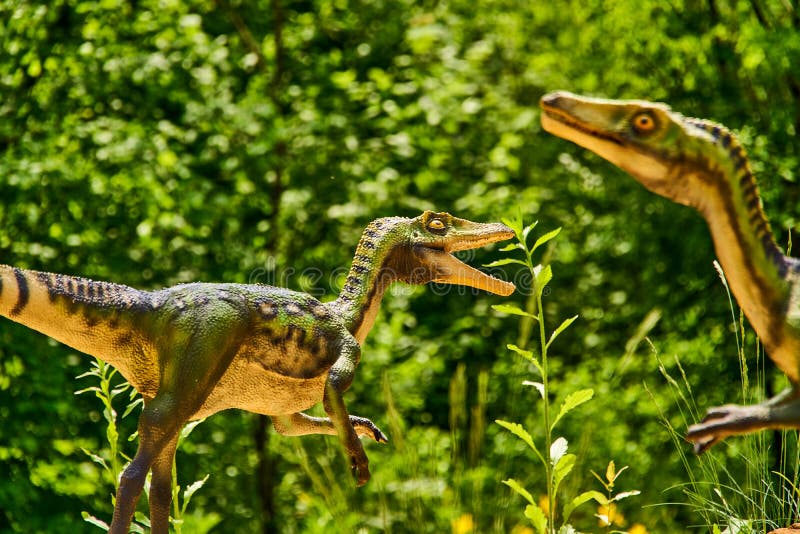 Deinonychus Royalty-Free Images, Stock Photos & Pictures