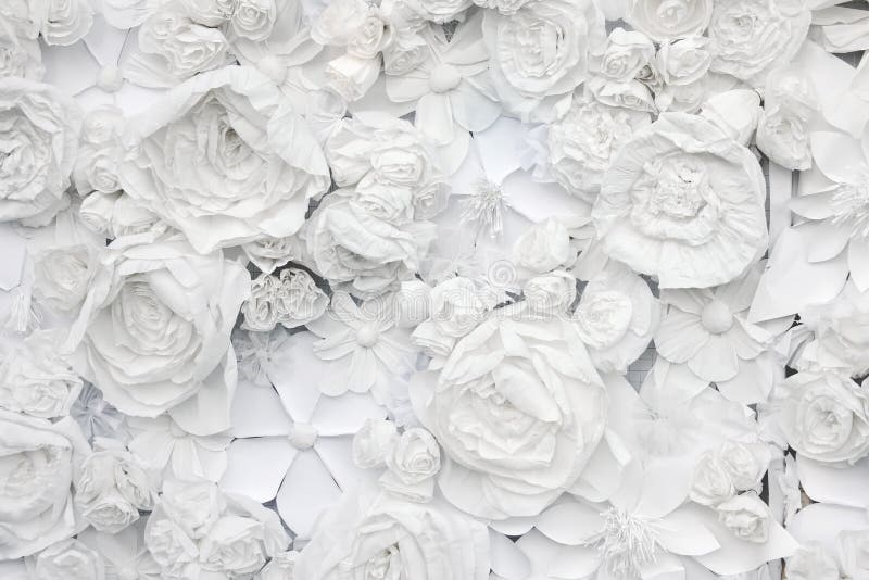 Dekoracyjny tło od białych papierowych kwiatów
