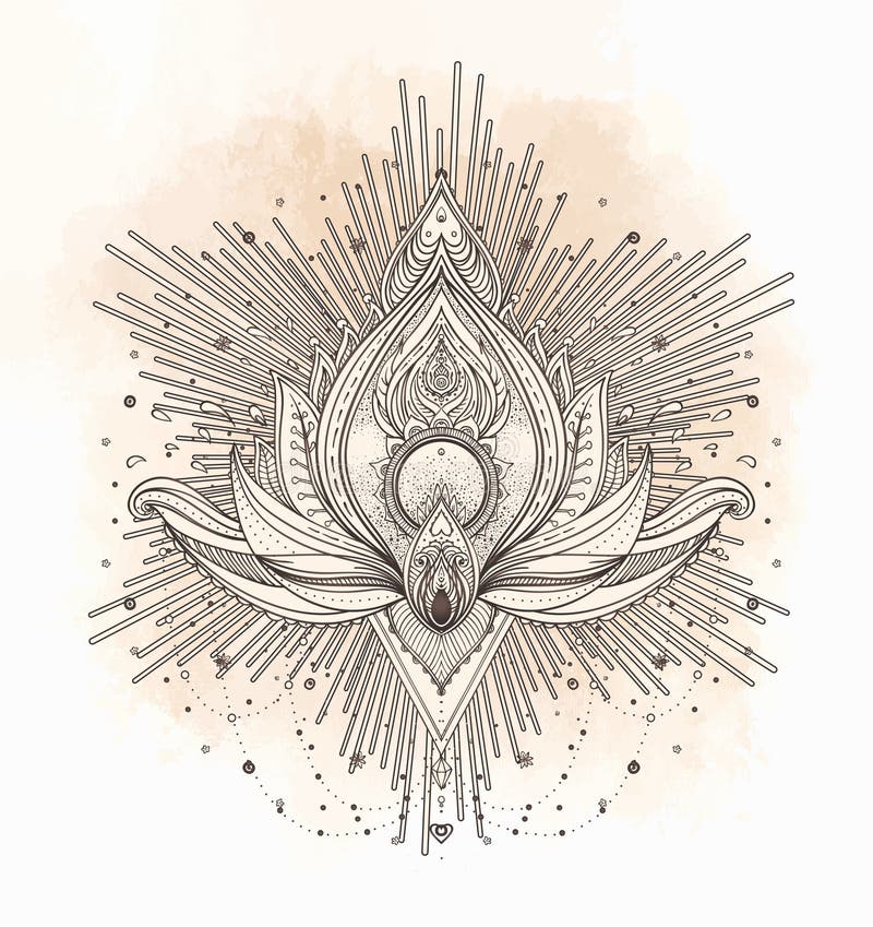 Dekorativ Lotus för vektor blomma, etnisk konst, mönstrad indisk pai