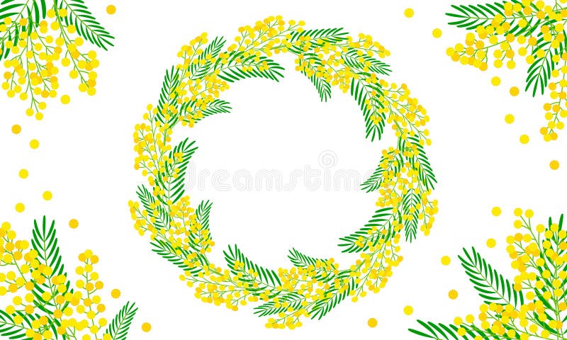 Dekorativ vårfestiv bildruta med blomning mimosa. Florens design med utrymme för text royaltyfri illustrationer