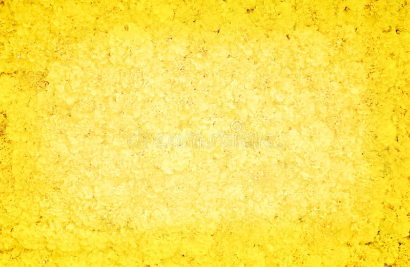 Dekorativa färgrika ringblommablommor på väggen för bakgrund, textur för Tagetes erectanatur royaltyfri foto Dekorativa färgrika ringblommablommor på väggen för bakgrund, textur för Tagetes erectanatur royaltyfri foto