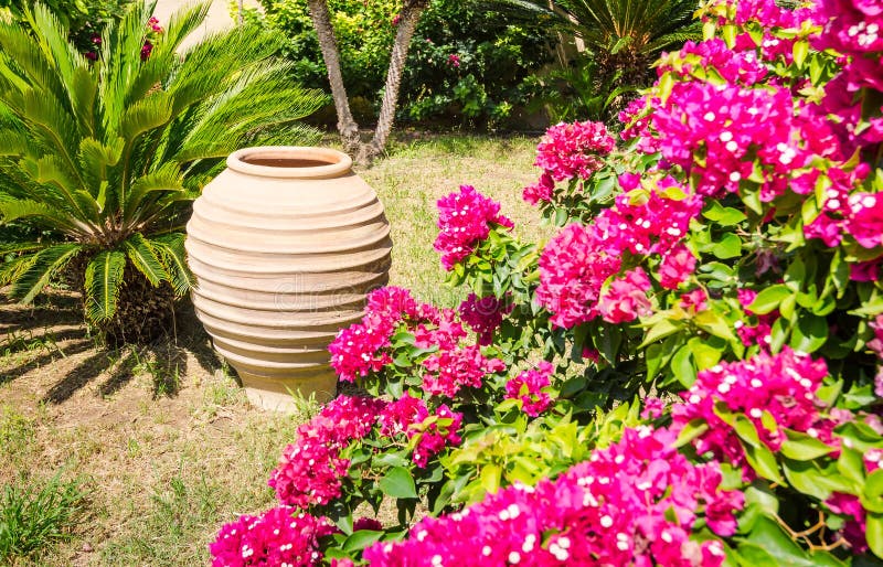 Typischer Griechischer Garten Stockfoto Bild von garten
