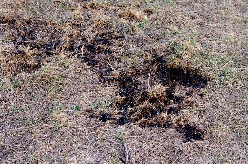 del” fuego de manejo del ¿ï del ¿” del ï en prados secos naturales fotografía de archivo del” fuego de manejo del ¿ï del ¿” del ï en prados secos naturales fotografía de archivo