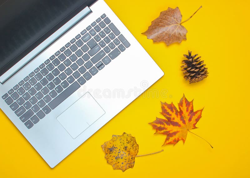 Del otoño del invierno todavía del negocio vida Ordenador portátil, hojas caidas fotografía de archivo libre de regalías Del otoño del invierno todavía del negocio vida Ordenador portátil, hojas caidas fotografía de archivo libre de regalías