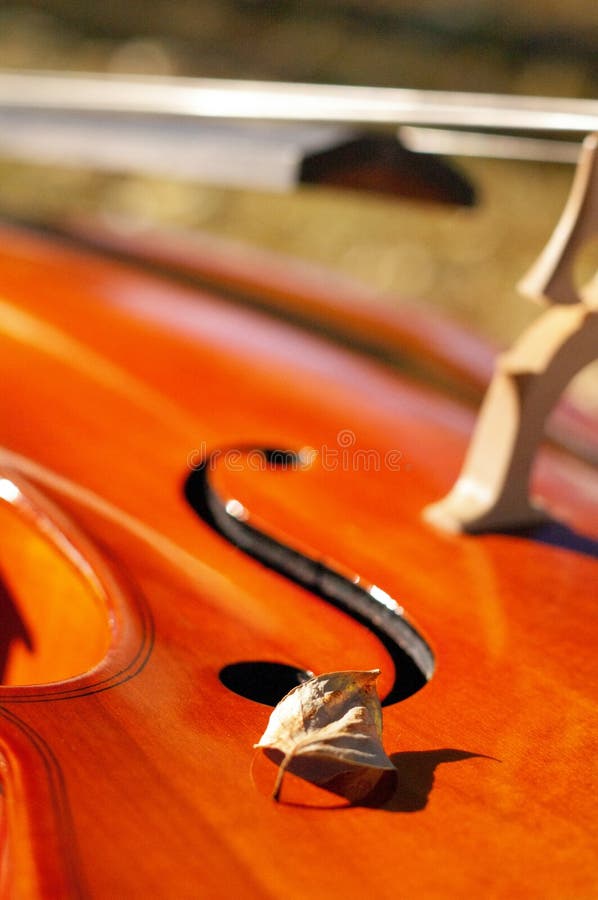 Del violoncelo primer al aire libre en el parque el día del otoño de la caída con colou fotografía de archivo Del violoncelo primer al aire libre en el parque el día del otoño de la caída con colou fotografía de archivo