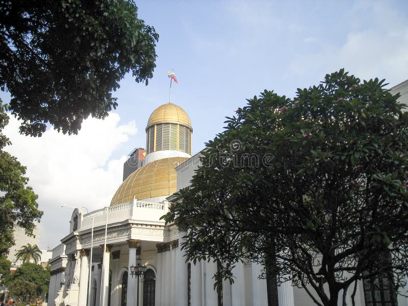 Delegati Downtown Caracas Venezuela di politica del congresso di Capitolio dell'assemblea nazionale fotografia stock Delegati Downtown Caracas Venezuela di politica del congresso di Capitolio dell'assemblea nazionale fotografia stock