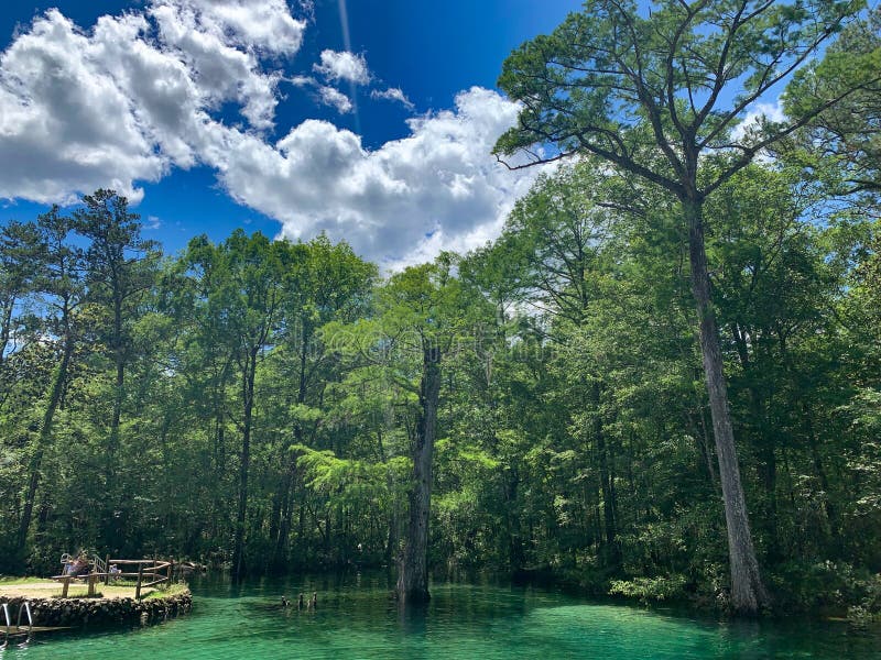 Deleon Springs State Park Stock Photos Free & RoyaltyFree Stock