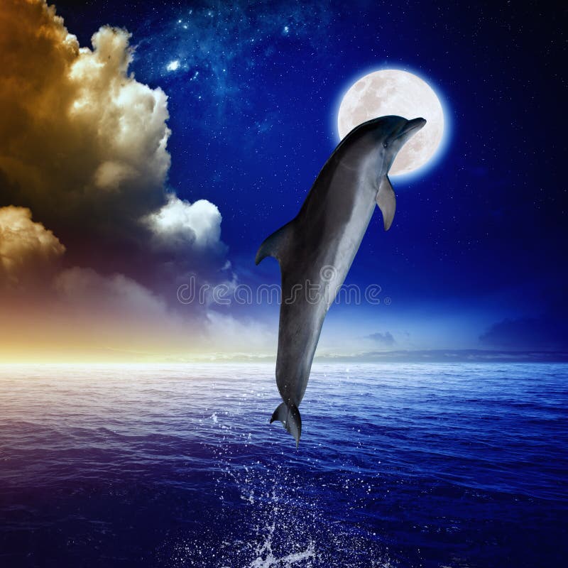 Песни луна дельфины. Дельфин Луна. Луна дельфины. Дельфин в облаках. Полнолуние над морем с дельфинами.