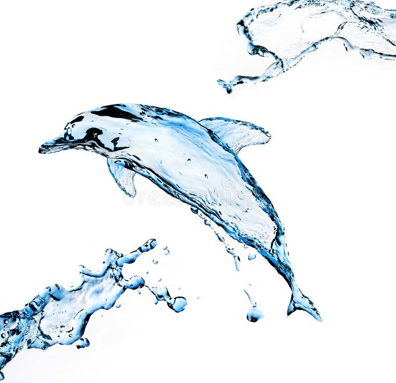 Delfino dell'acqua fotografie stock Delfino dell'acqua fotografie stock