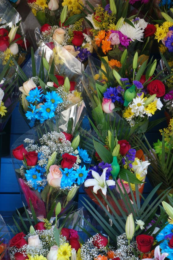 Deli Flowers stock photo. Image of deli, colorful, bloom 38146250