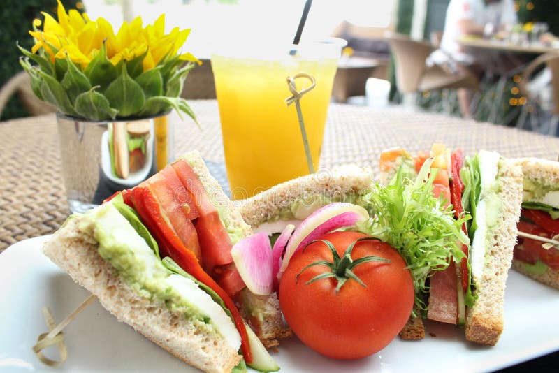 Deli Meat Sandwich with Turkey Stock Image Image of cold, copy 48411539