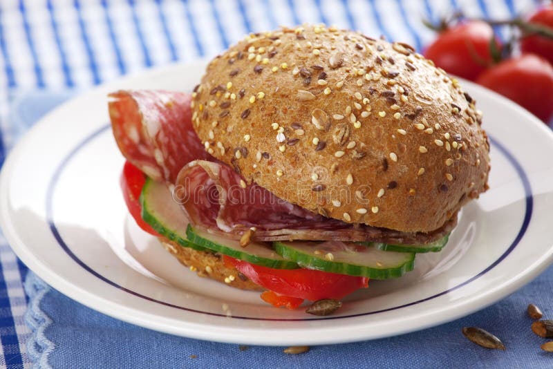 Deli Salami Sandwich stock photo. Image of plate, lunch 13868840