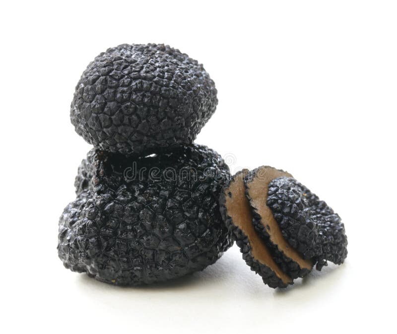 Delicacy Mushroom Black Truffle Stock Photo - Image of fungus ...