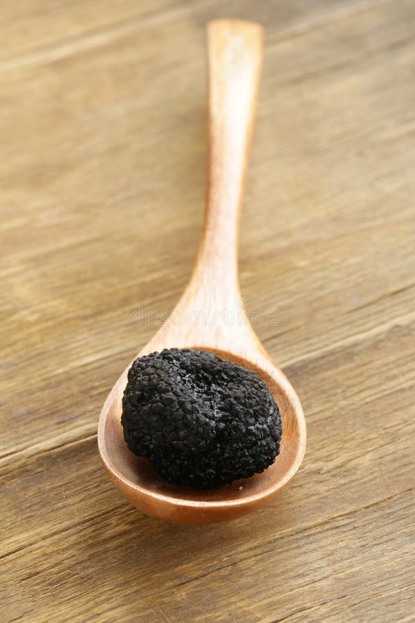 Delicacy Mushroom Black Truffle Stock Image Image of organic