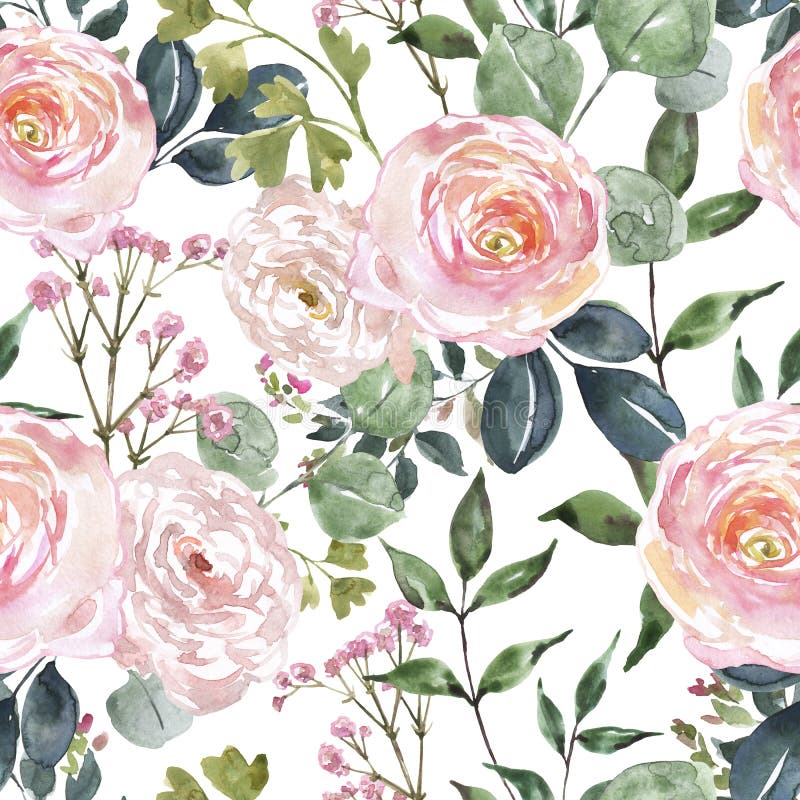 Beautiful blush pink and cream colored flowers and greenery seamless pattern. Watercolor hand drawn floral ornament on white background. Ranunculus, rose flower, sage green eucalyptus and leaf. Beautiful blush pink and cream colored flowers and greenery seamless pattern. Watercolor hand drawn floral ornament on white background. Ranunculus, rose flower, sage green eucalyptus and leaf