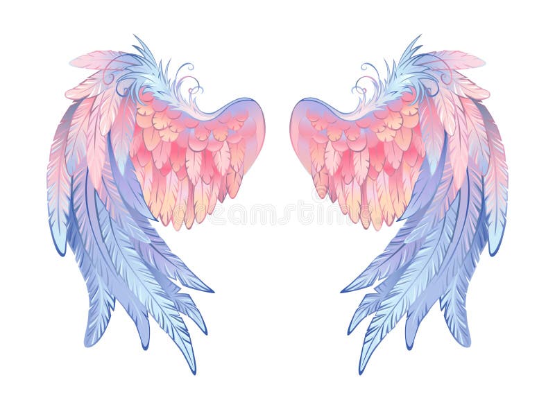Delicate ali d'angelo su fondo bianco