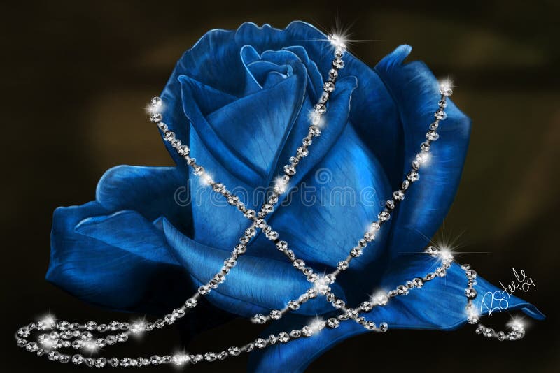 Blue Rose Flower Images HD wallpaper